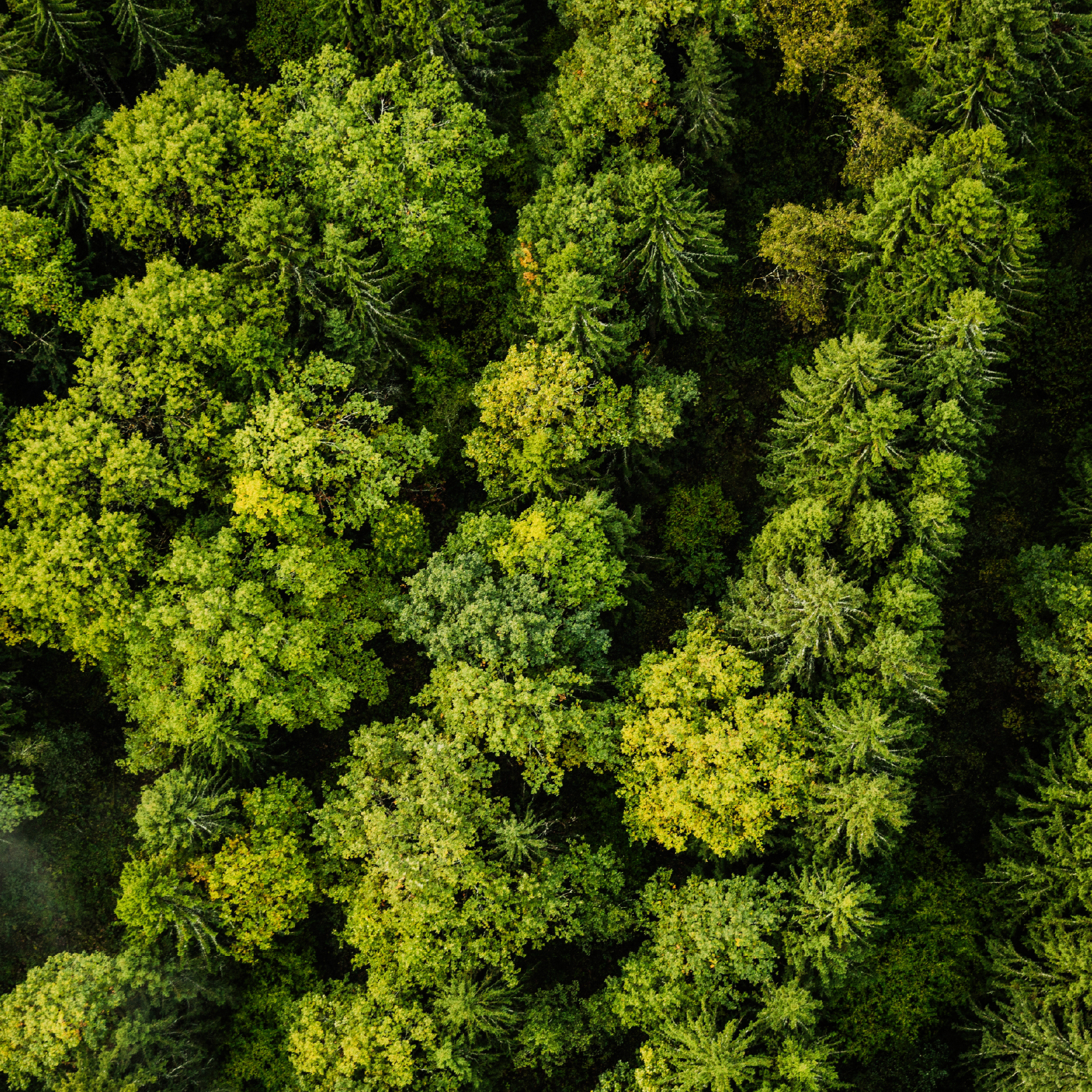 nature-photography-from-air